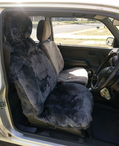 05.04.20 Sheepskin car seat covers (2)