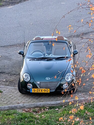 PXL_20251107_160321298