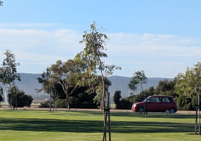 PXL_20250401_225257008