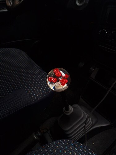 photo_6_2026-02-01_02-14-29