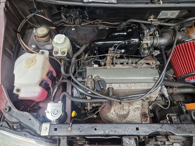 photo_7_2026-02-01_02-14-29