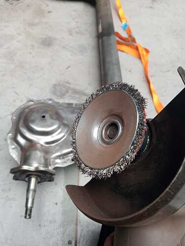 IMG-20250309-WA0017